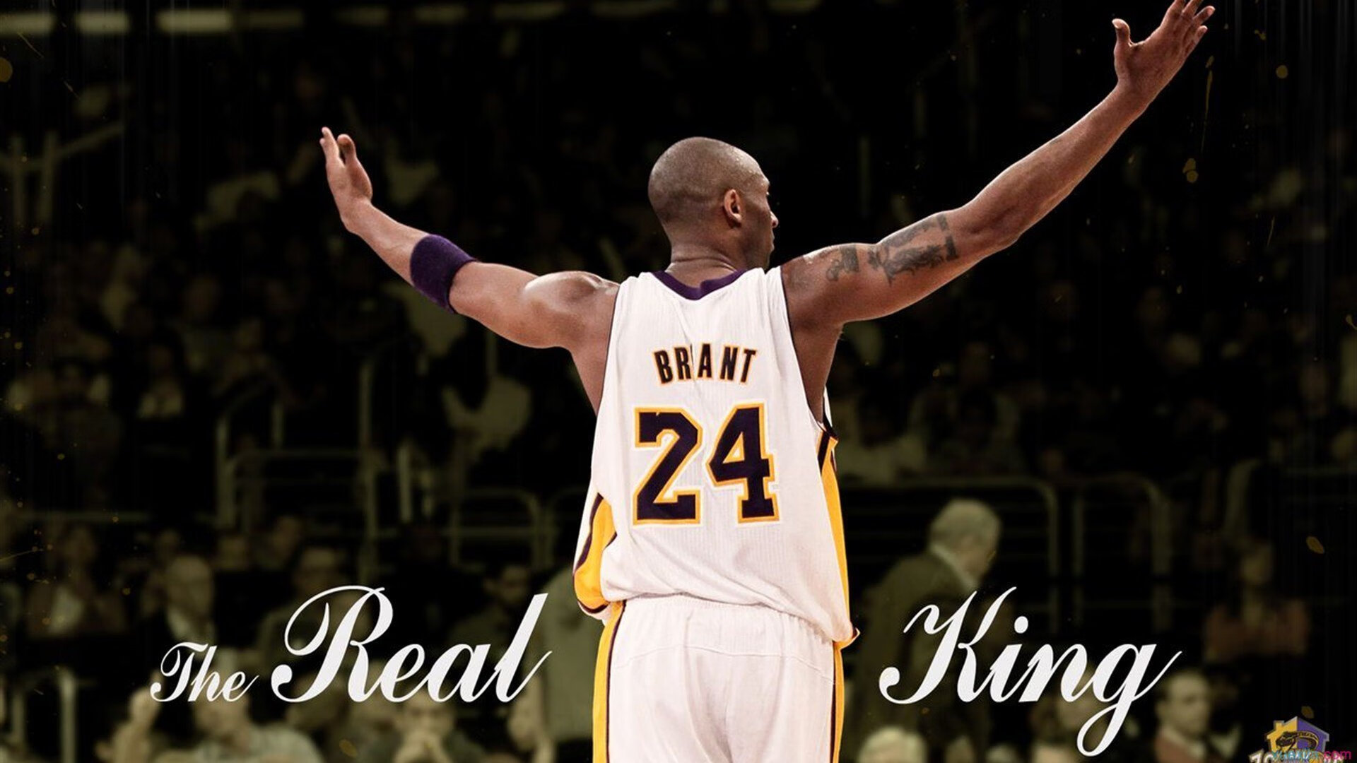 生死战WTT大满贯焦点战！广厦男篮迎战热刺，绝杀或上演